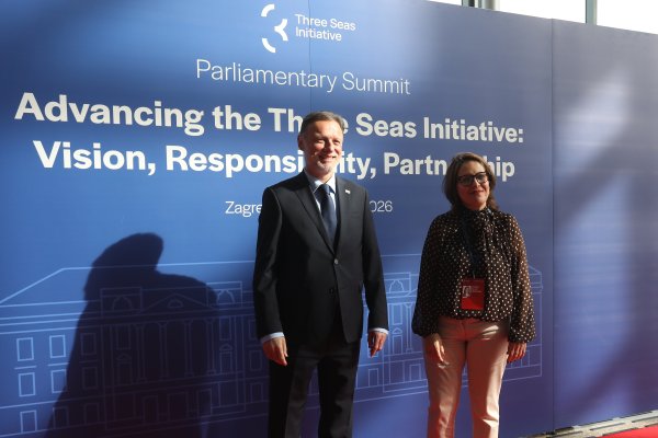 Plenarna sjednica Parlamentarnog summita Inicijative triju mora