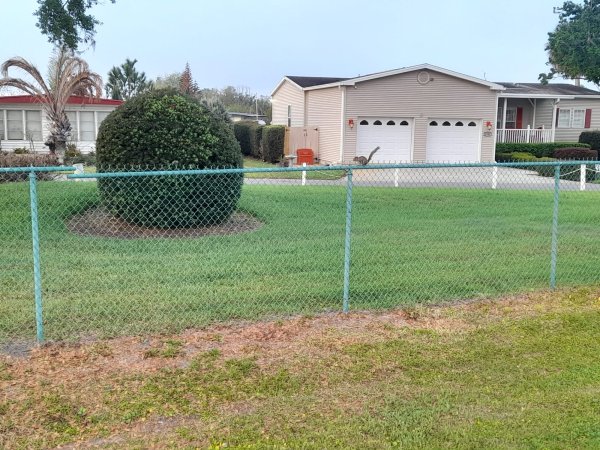 Od brojnih životinja, uspio sam snimiti tek vjevericu