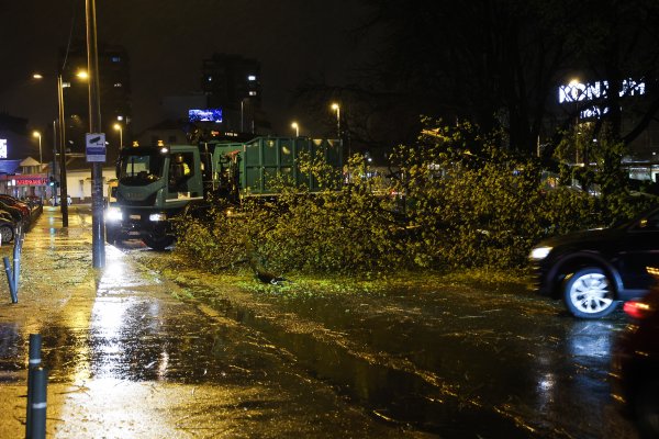 Prekinut promet kod Trešnjvačkog trga zbog pada stabla