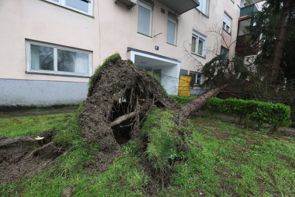 Zagreb: Srušena stabla u Prečkom
