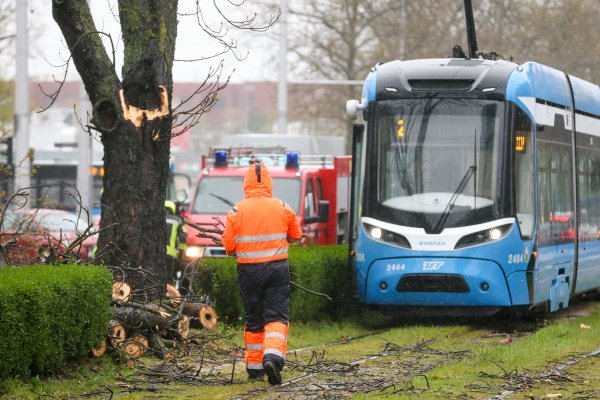 Zagreb: Zatvorena Vukovarska ulica u smjeru zapada radi uklanjanja stabla