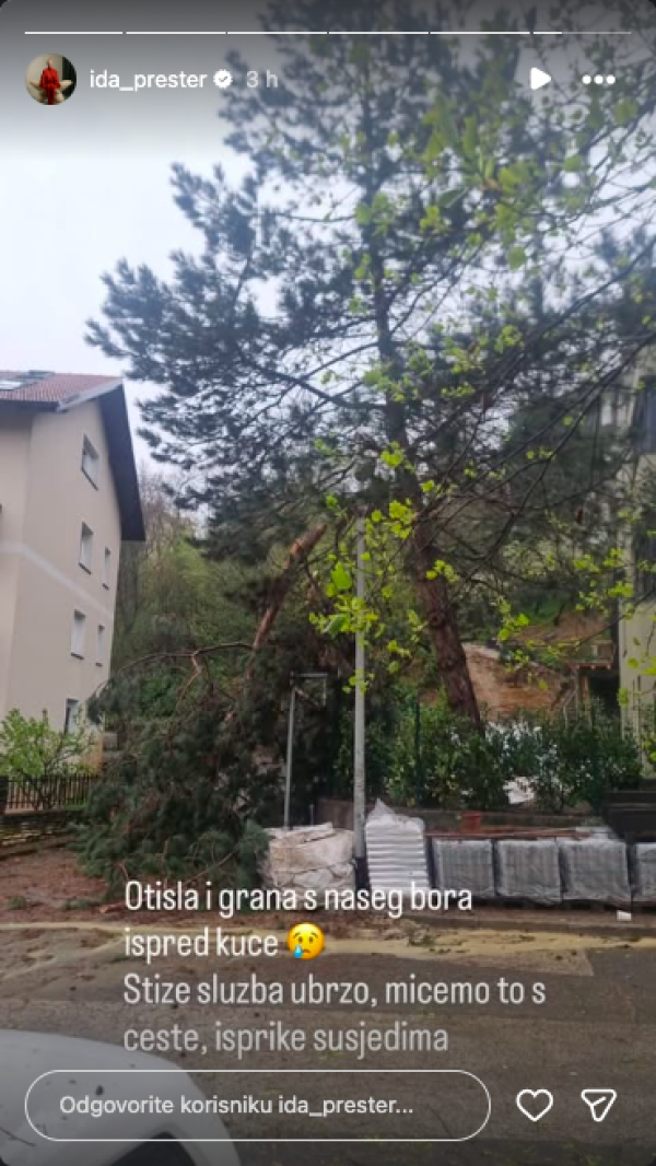 Objava Ide Prester na Instagramu