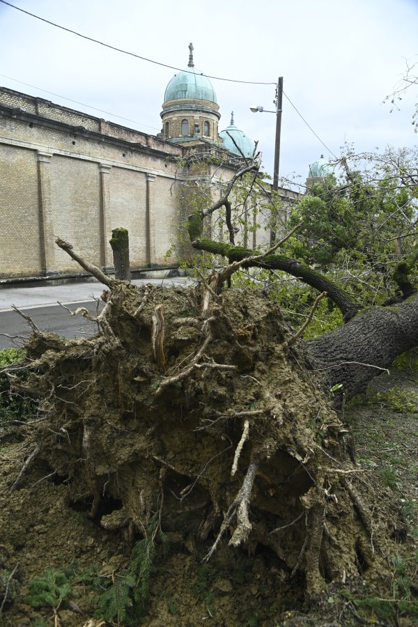 Posljedice nevremena na Mirogoju