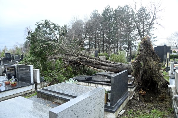 Direktor zagrebačkog groblja naveo da su otkazani pokopi na groblju: 'Molim građane da ne dolaze'