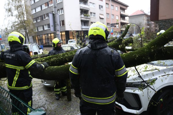 Najviše intervencija vatrogasci su imali zbog srušenih stabala
