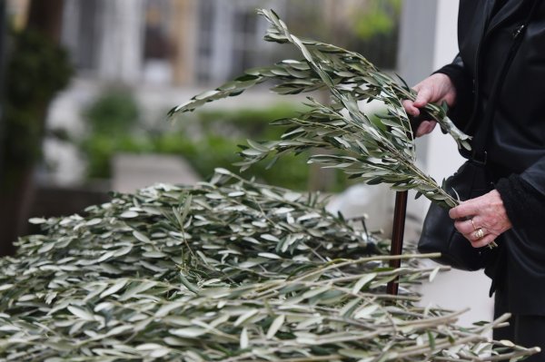 Danas je Cvjetnica, nedjelja Muke Gospodnje. Znate li što vjernici obilježavaju?