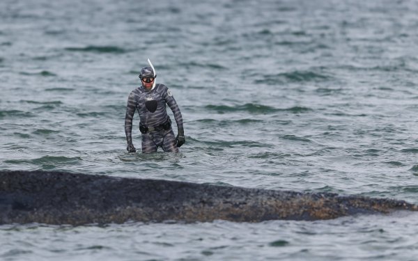 Spašavanje grbavog kita u Njemačkoj
