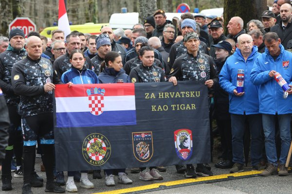 Tigrovi su sudjelovali u operaciji Plitvice