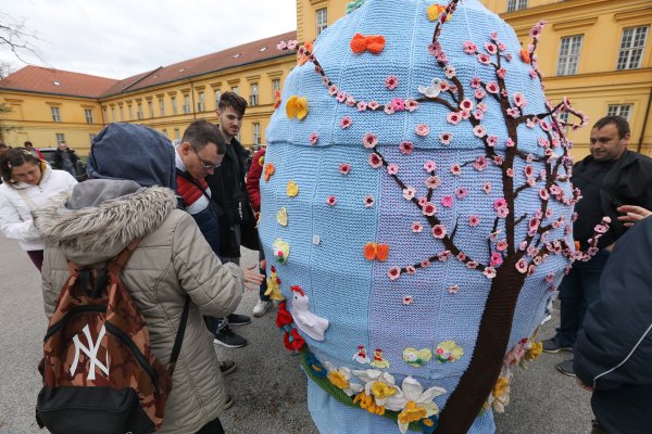 Ispred Klinike za psihijatriju postavljena je pisanica