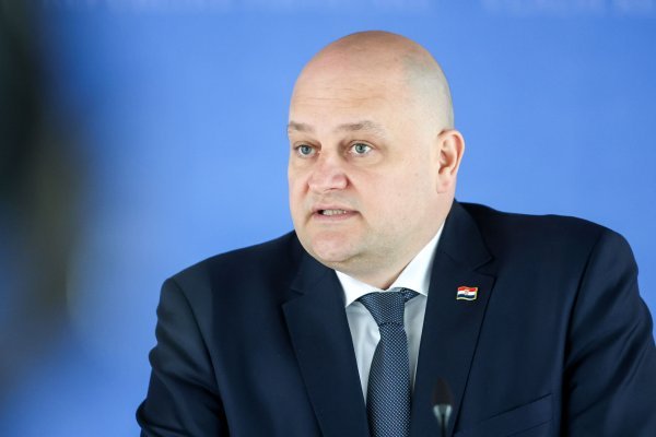 Šušnjar o informacijama iz Mađarske: 'Bilo bi fantastično biti muha na zidu'