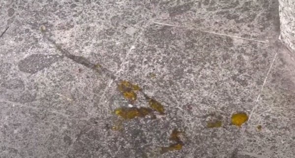 Dok je BiH slavila, kaos u Italiji: Procurile snimke divljanja navijača u Rimu