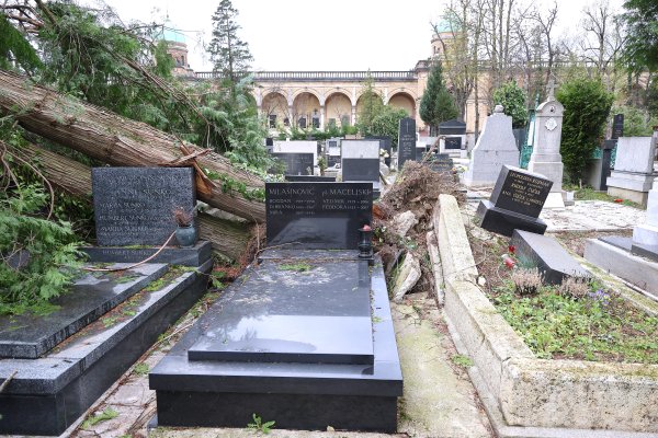 Posljedice nevremena na Mirogoju