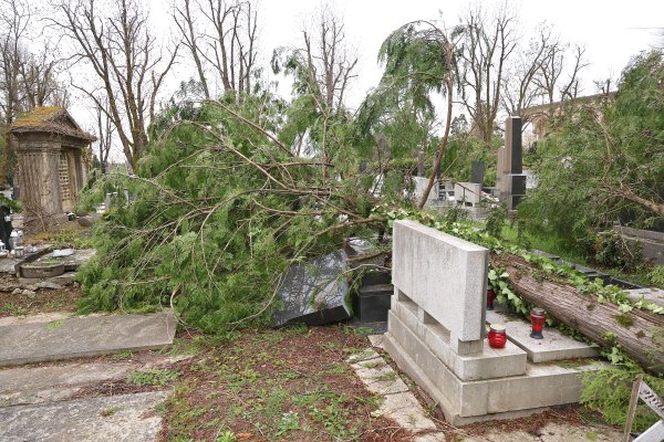 Nevrijeme na Mirogoju i drugim grobljima: Građani mogu tražiti odštetu