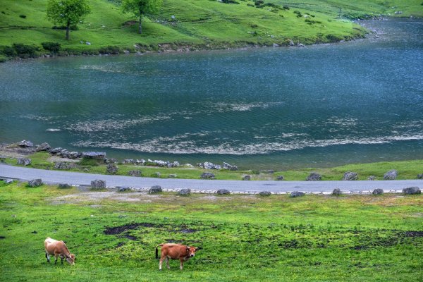 Optimalno vrijeme za posjet parku Picos de Europa su proljeće i rana jesen