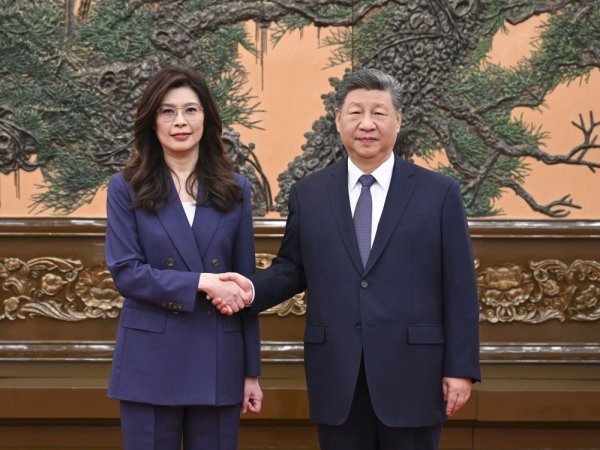 Xi Jinping s čelnicom tajvanske oporbe