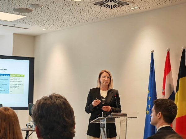 Ivana Maletić, Europski revizorski sud