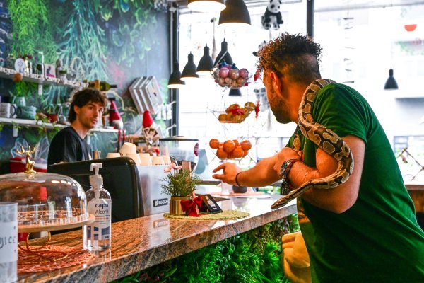 U ovom kafiću trebate posluživati pića, ali i uživati u životinjskom društvu