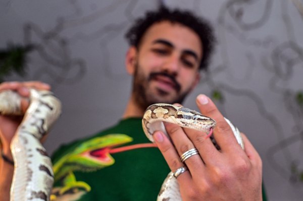 Kapučina, jedna od glavnih zvijezda lokala