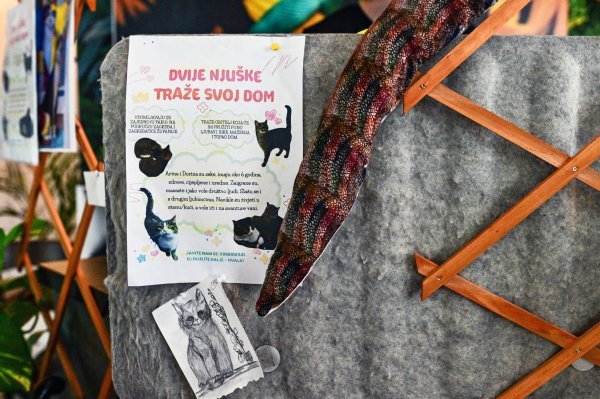 U Animal Caffeu su izvješene i informacije o životinjama koje dobri ljudi mogu udomiti