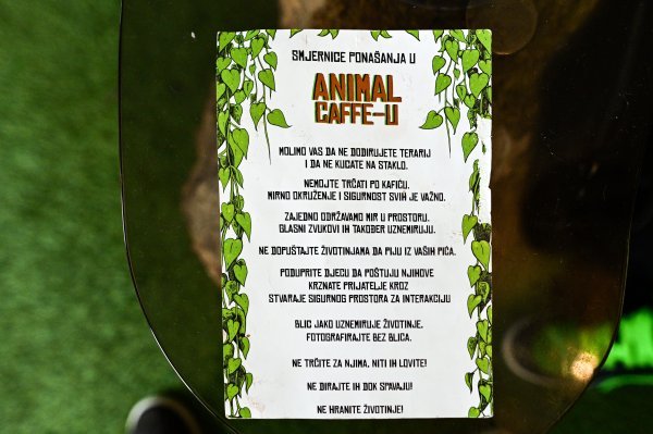 Pravila su jasna i ispisana na svakom stolu