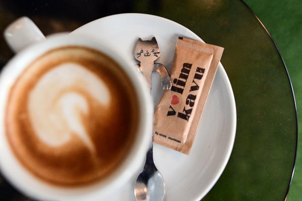 ...do žiličica - životinjama se u ovom lokalu odaje počast u svakom detalju interijera