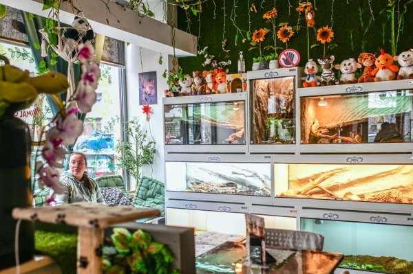 Neki vole piti kavu s pogledom na more, a za ljubitelje životinja terariji su odličan prizor