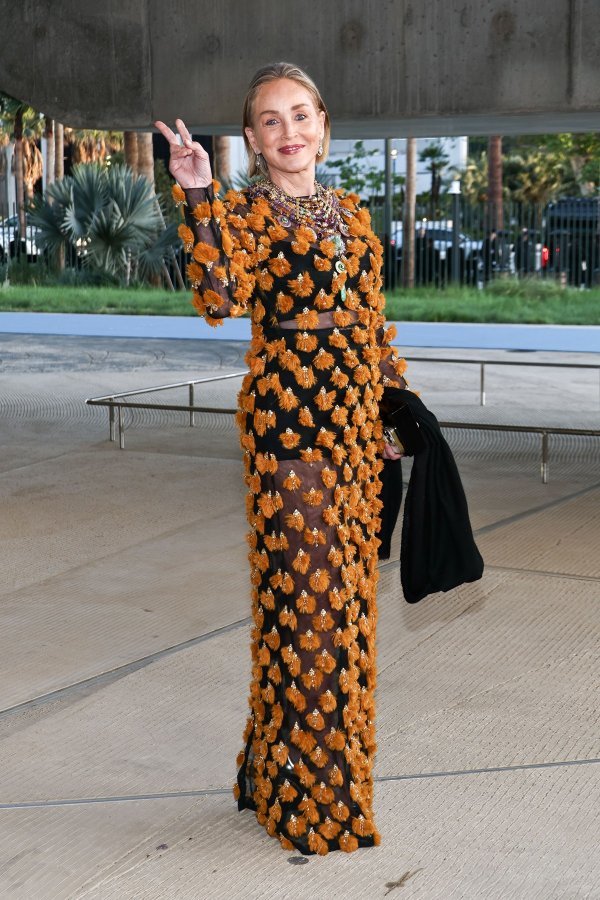 Sve je zasjenila: Sharon Stone pokazala kako se nosi 'gola' haljina u 68-oj