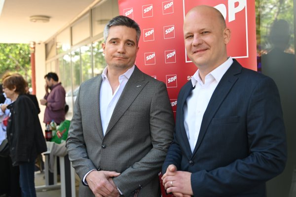 SDP Split bira novo vodstvo