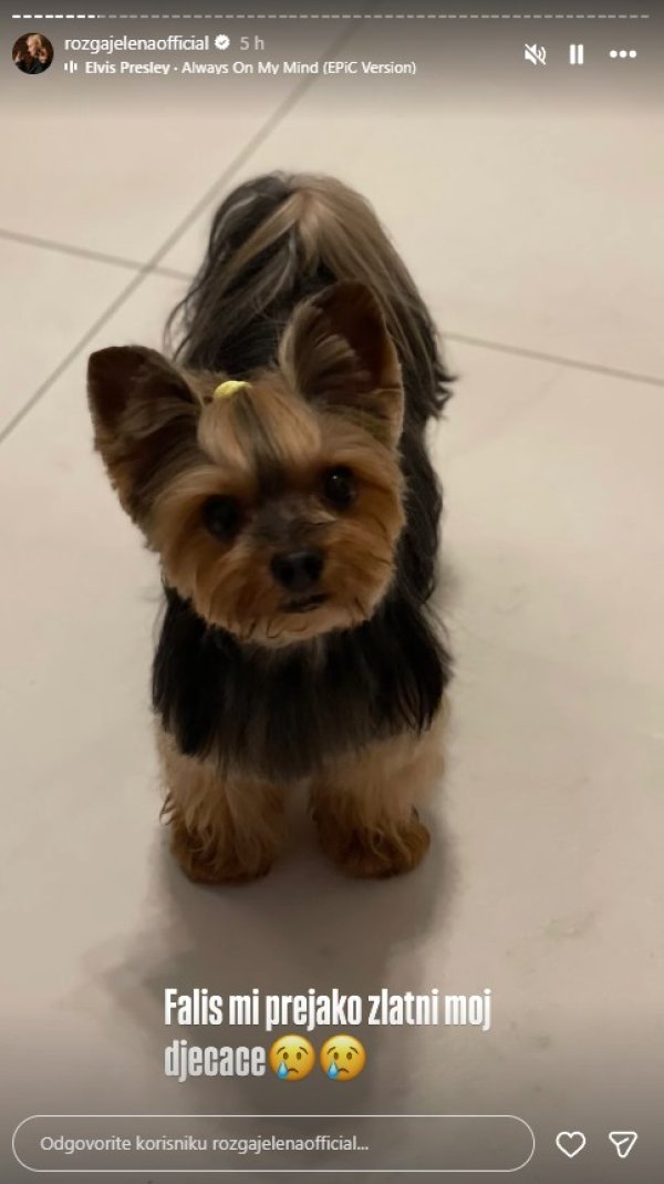 Objava Jelene Rozge na Instagramu