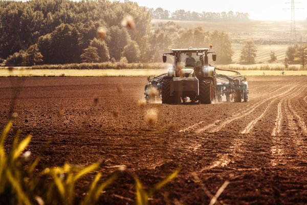 Šest mjeseci poremećaja moglo imati posljedice za žetveni ciklus 2027. godine