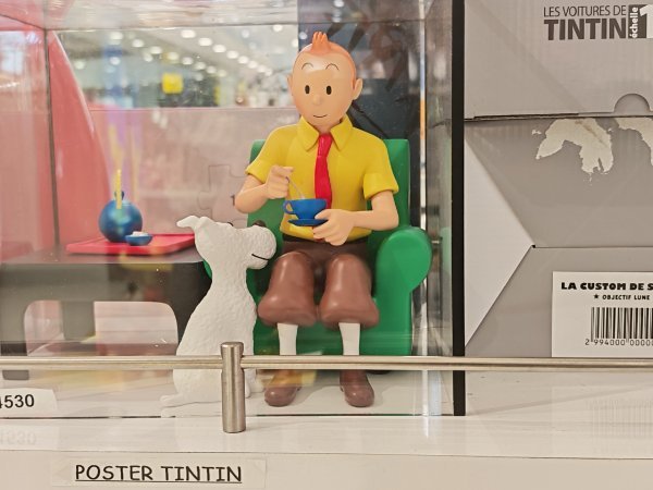 Tintin je jedan od najuspješnijih belgijskih izvoznih proizvoda, rekao nam je novinar Lucas LeCluyse