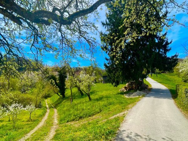 Uzbudljiv uspon kod Klanjca