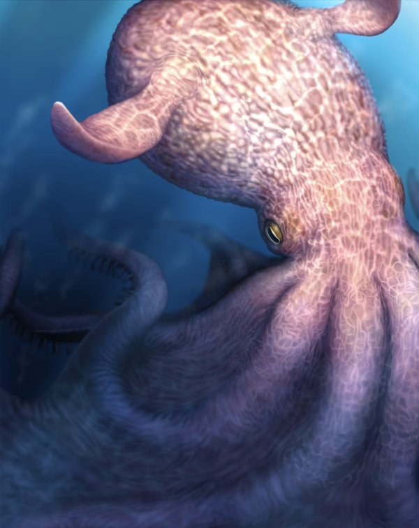 Divovske hobotnice duge 19 metara vladale su morskim dubinama prije 100 milijuna godina