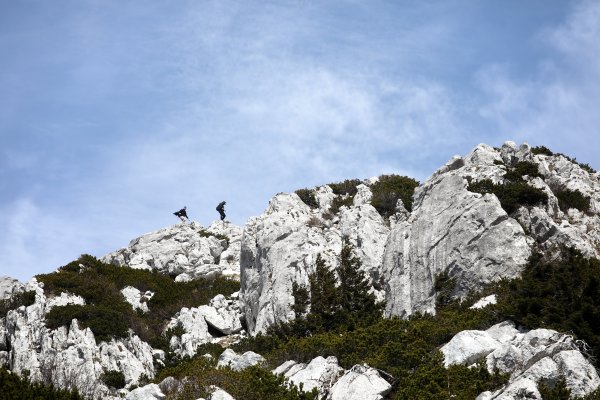 Obnovljen pješački most u Nacionalnom parku Risnjak