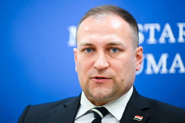 Pritisak uvoza, nedostatak radnika: Vlajčić naveo što sve prijeti vrgoračkim jagodama