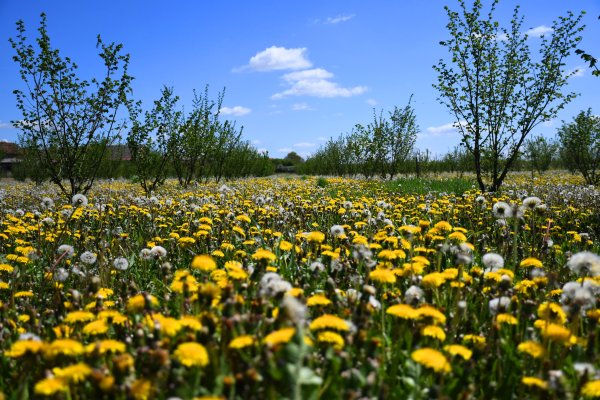 Alarm WWF-a: Hrvatska iscrpila prirodne resurse, slijedi život 'na kredit'