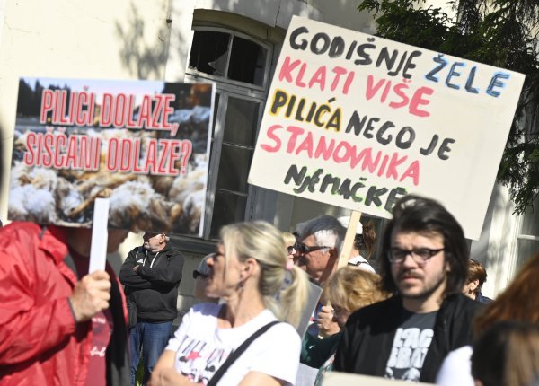 Prosvjed protiv megafarmi i klaonice pilića u Sisku