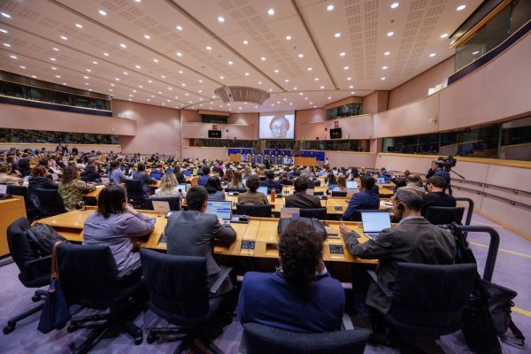 Europski parlament u utorak je usvojio ova važna pravila za pse i mačke - ilustracija