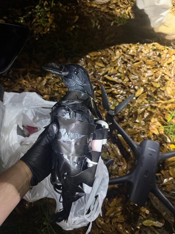 Domišljati kriminalci dostavljali su robu i u plastičnim pticama