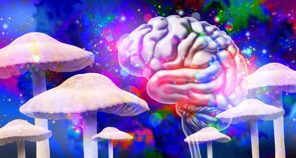 Čarobne gljive i LSD pred medicinskim probojem: Eli Lilly ulaže milijarde u lijekove za depresiju