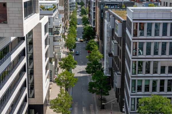 Urbana stabla važnija su za hlađenje gradova nego što se dosad mislilo
