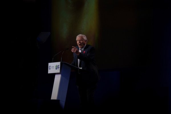 David Attenborough