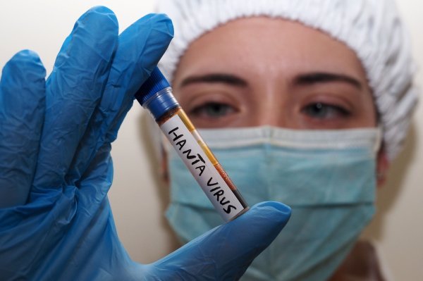 Hantavirus nije novi covid, ali istraživači vide zabrinjavajuću sličnost
