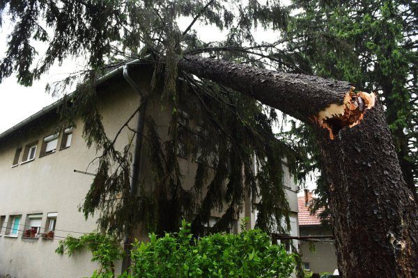 Nevrijeme napravilo kaos u Karlovcu: Stabla padala po kućama i autima, stradali i stupovi
