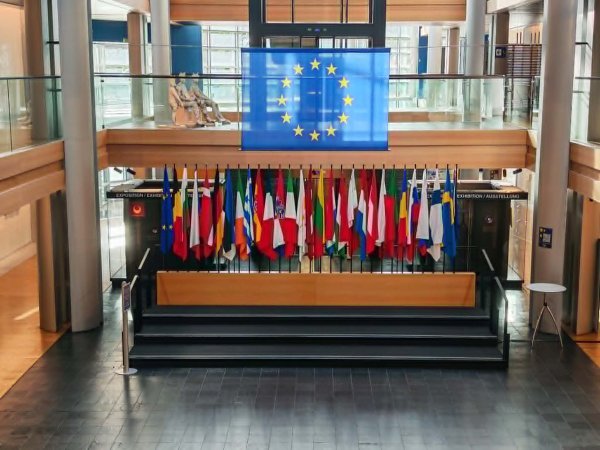 Island je to odbio, ali hoće li kada u Europskom parlamentu biti zastave Crne Gore ili Albanije?