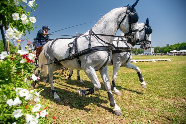 Feričanci spremni za peto izdanje Međunarodnog konjičkog turnira, najavljen spektakularan program