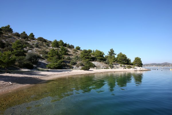 IRB istražuje utjecaj na Jadran: Pelud s kopna mijenja more