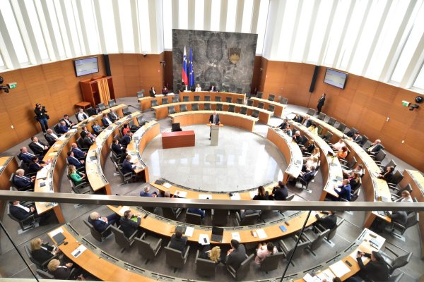 Slovenski Državni zbor