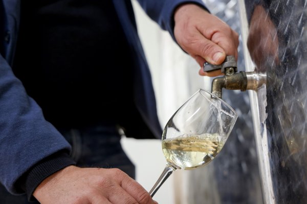 Šok za ljubitelje vina: Hrvatska bilježi najveći rast cijena u Europi