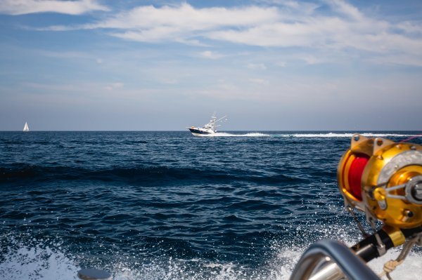 Mreža koja nadgleda svjetske oceane je u problemima: Njen gubitak mogao bi imati katastrofalne posljedice
